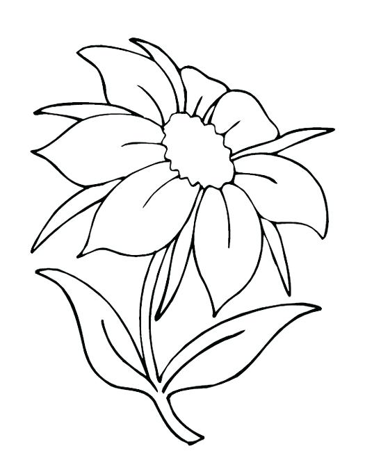 Nature Coloring Page Flower Page Printable Coloring Sheets Nature 548x685 Nature Coloring Page Flower Page Printable Coloring Sheets Nature