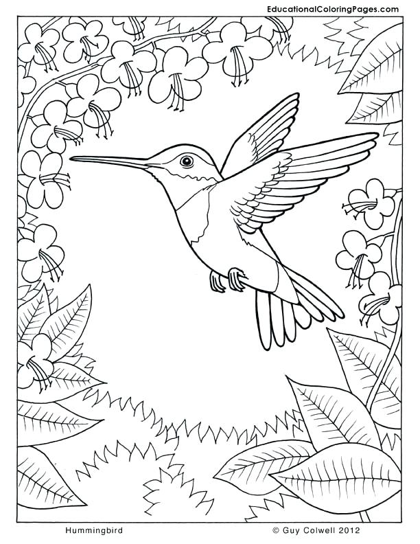 Nature Coloring Pages Free Printable Nature Coloring Pages Free 612x792 Nature Coloring Pages Free Printable Nature Coloring Pages Free