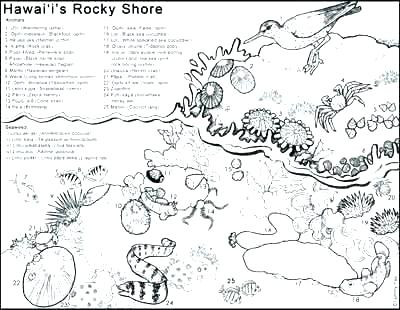 Free Nature Coloring Pages 400x310 Free Nature Coloring Pages