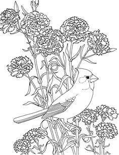 Nature Coloring Pages For Adults Free Printable Coloring 236x308 Nature Coloring Pages For Adults Free Printable Coloring