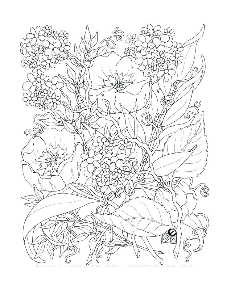 Nature Coloring Pages For Adults Backyard Animals And Nature Free 736x952 Nature Coloring Pages For Adults Backyard Animals And Nature Free