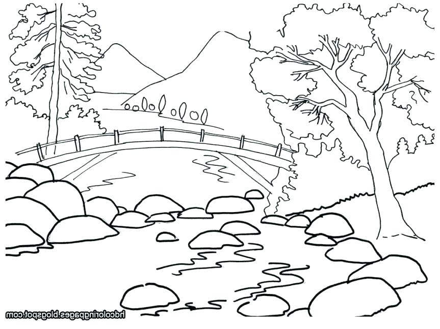 Nature Coloring Pages Free Printable Nature Coloring Pages 863x647 Nature Coloring Pages Free Printable Nature Coloring Pages
