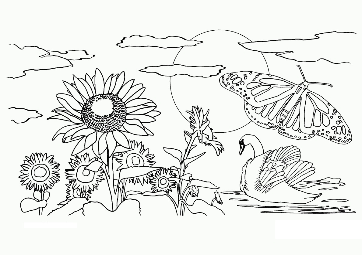 Outstanding Free Printable Nature Coloring Pages For Adults Kids 1189x840 Outstanding Free Printable Nature Coloring Pages For Adults Kids