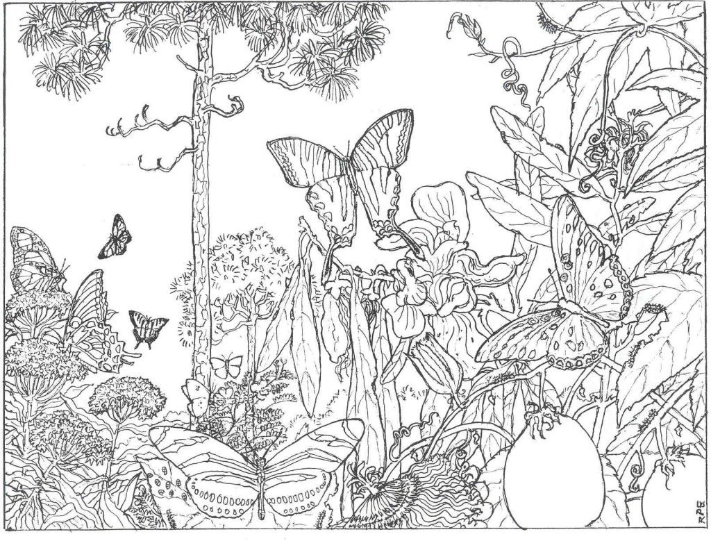 Beautiful Coloring Pages For Adults Free Printable Coloring 1024x779 Beautiful Coloring Pages For Adults Free Printable Coloring