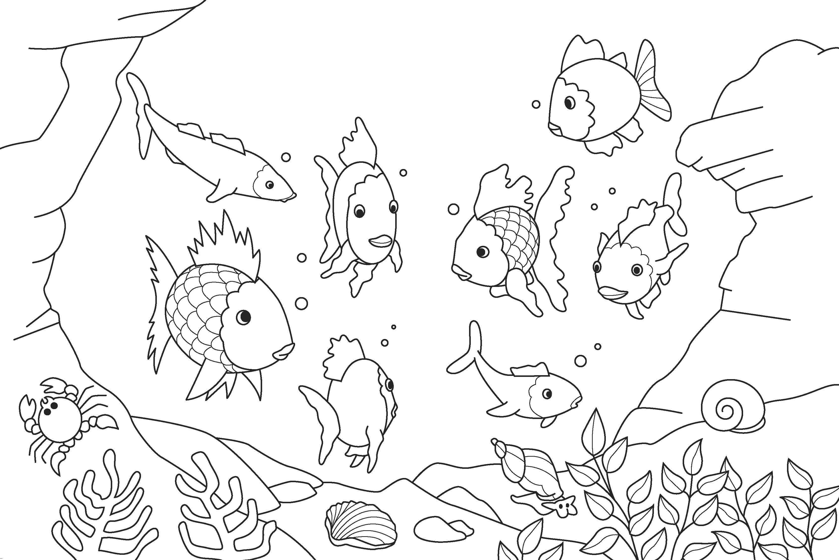 3386x2260 Ocean Coloring Pages Free Printable Orango Inside