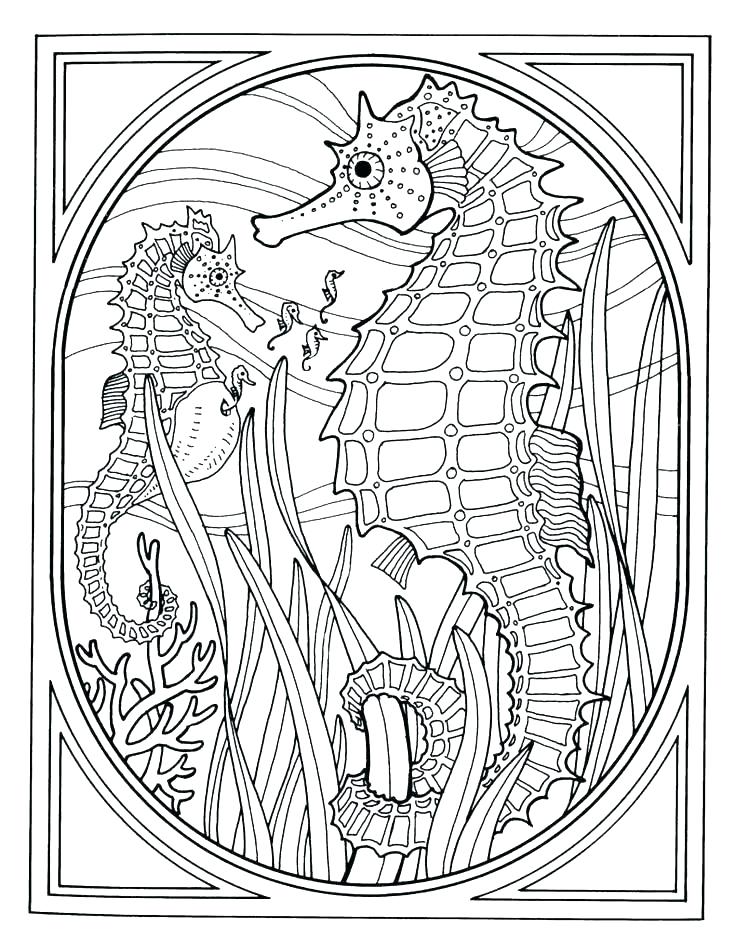 736x952 Ocean Scene Coloring Page Coloring Page Ocean Free Printable Ocean