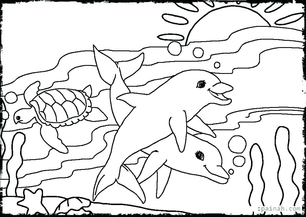 1024x728 Sea Animals Coloring Pages Icontent