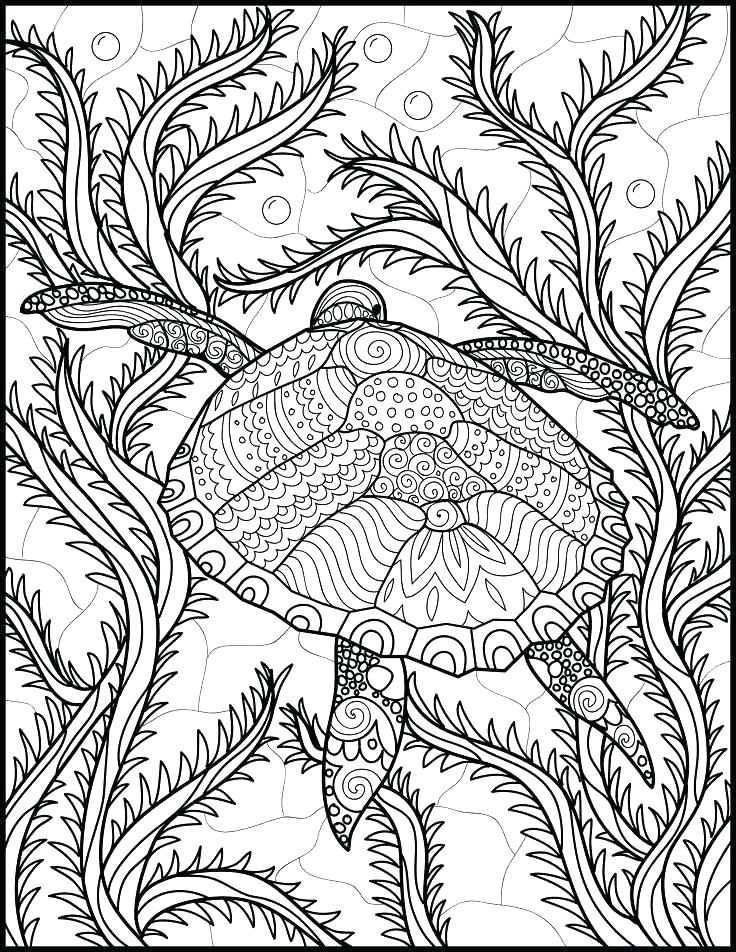 736x952 Free Ocean Coloring Pages Ocean Life Coloring Pages Free Printable