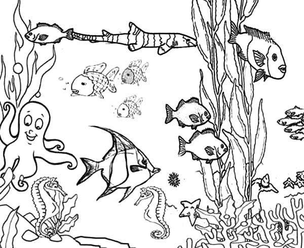 Free Printable Ocean Coloring Pages Free Coloring Pages Of Ocean 600x490 Free Printable Ocean Coloring Pages Free Coloring Pages Of Ocean