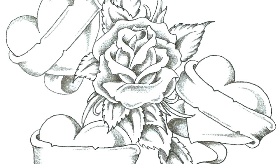 Roses Coloring Pages Rose Coloring Page Coloring Pictures Of Roses 960x562 Roses Coloring Pages Rose Coloring Page Coloring Pictures Of Roses