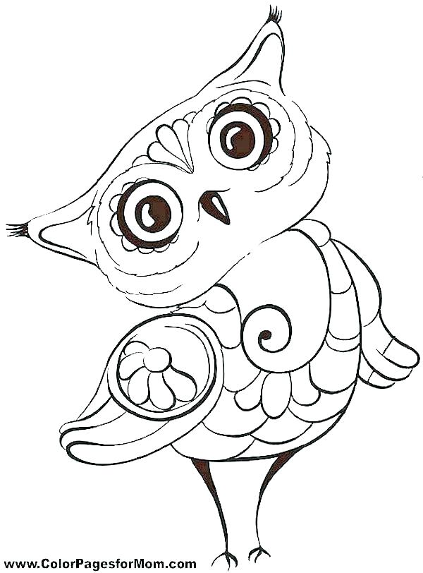 600x812 Owl Color Pages Free Printable Owl Coloring Pages For Kids Free