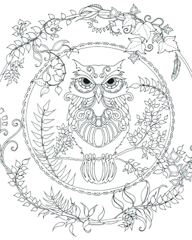 736x919 Owl Color Pages Picture Of Owls To Color Cool Coloring Pages Free