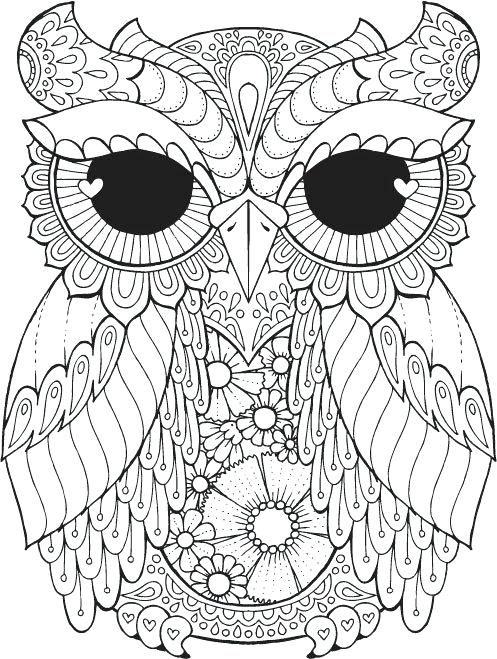 497x659 Owl Coloring Pages Owl Coloring Page Owl Coloring Pages For Free