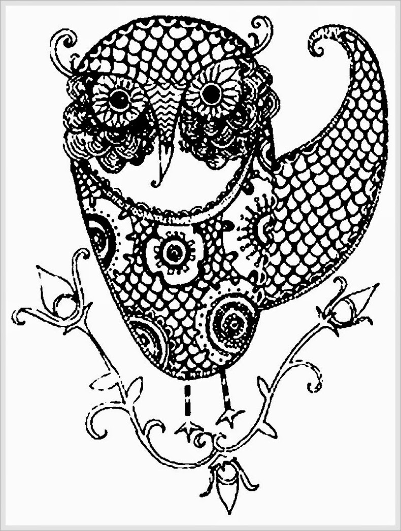Free Owl Coloring Pages For Adults