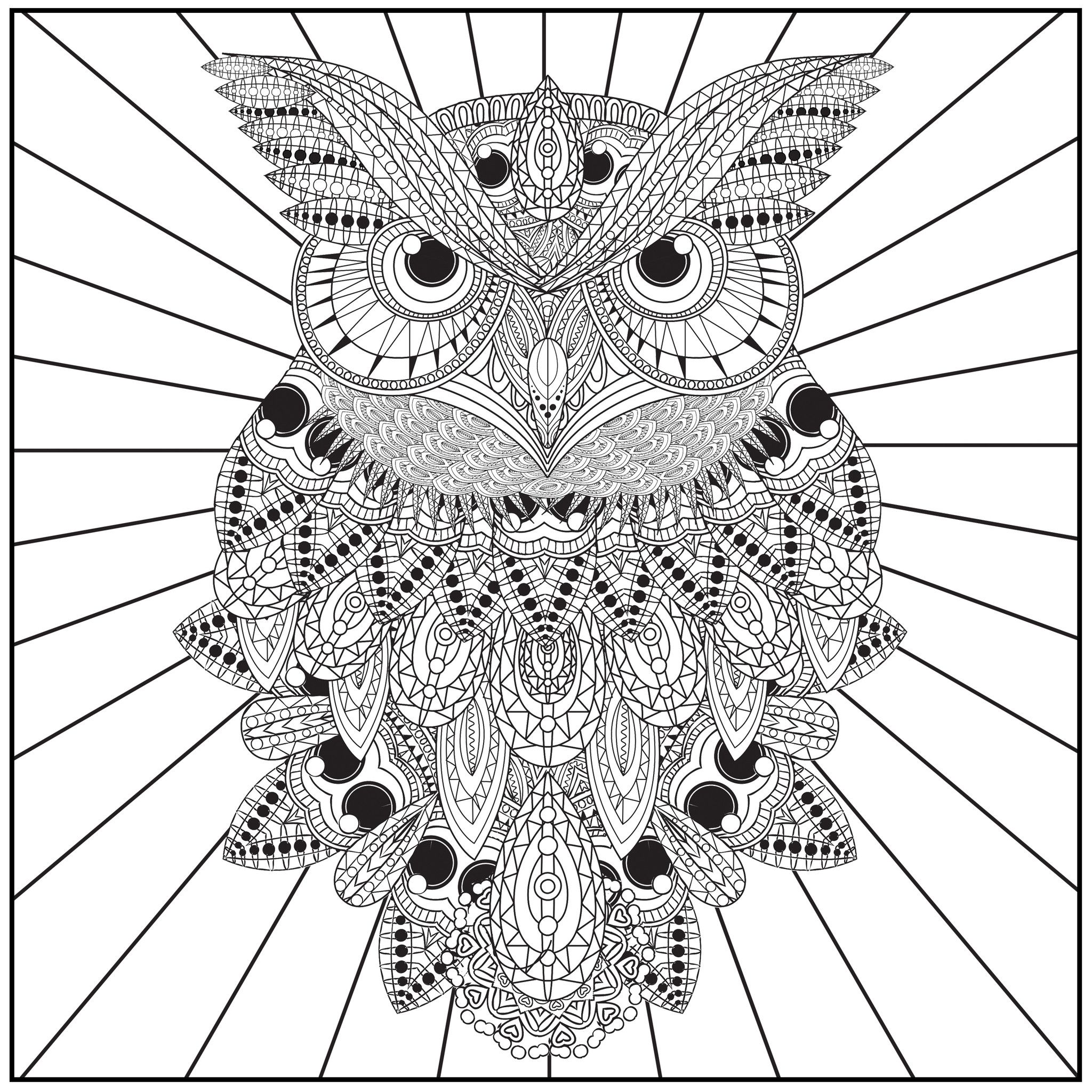 2048x2048 In Free Owl Coloring Pages For Adults 48