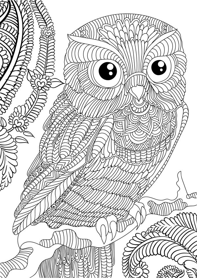 680x960 Owl Coloring Pages For Adults Free Detailed Owl Throughout Of Owls
