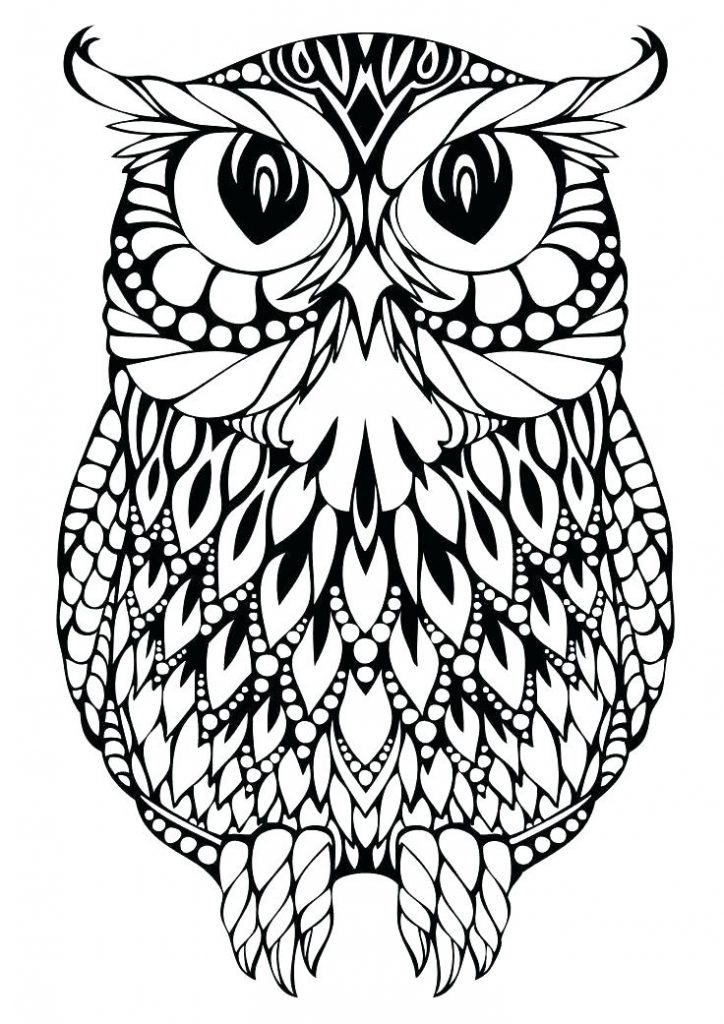 Owl Coloring Page Printable Owl Coloring Pages Owl Printable 724x1024 Owl Coloring Page Printable Owl Coloring Pages Owl Printable
