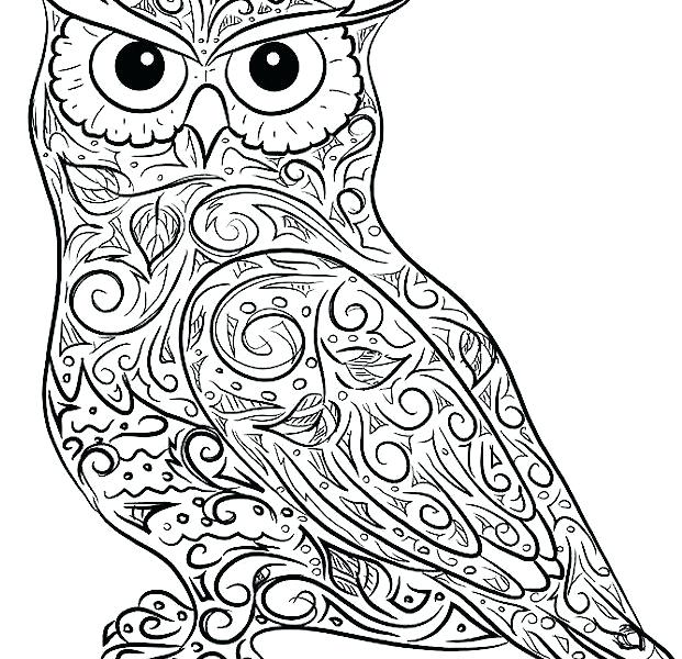 Owl Coloring Pages Free Printable Best Owl Coloring Pages Ideas 621x600 Owl Coloring Pages Free Printable Best Owl Coloring Pages Ideas