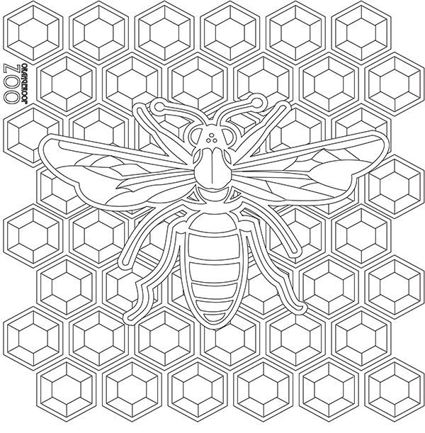 Free Coloring Pages Orangeroof Zoo 600x611 Free Coloring Pages Orangeroof Zoo