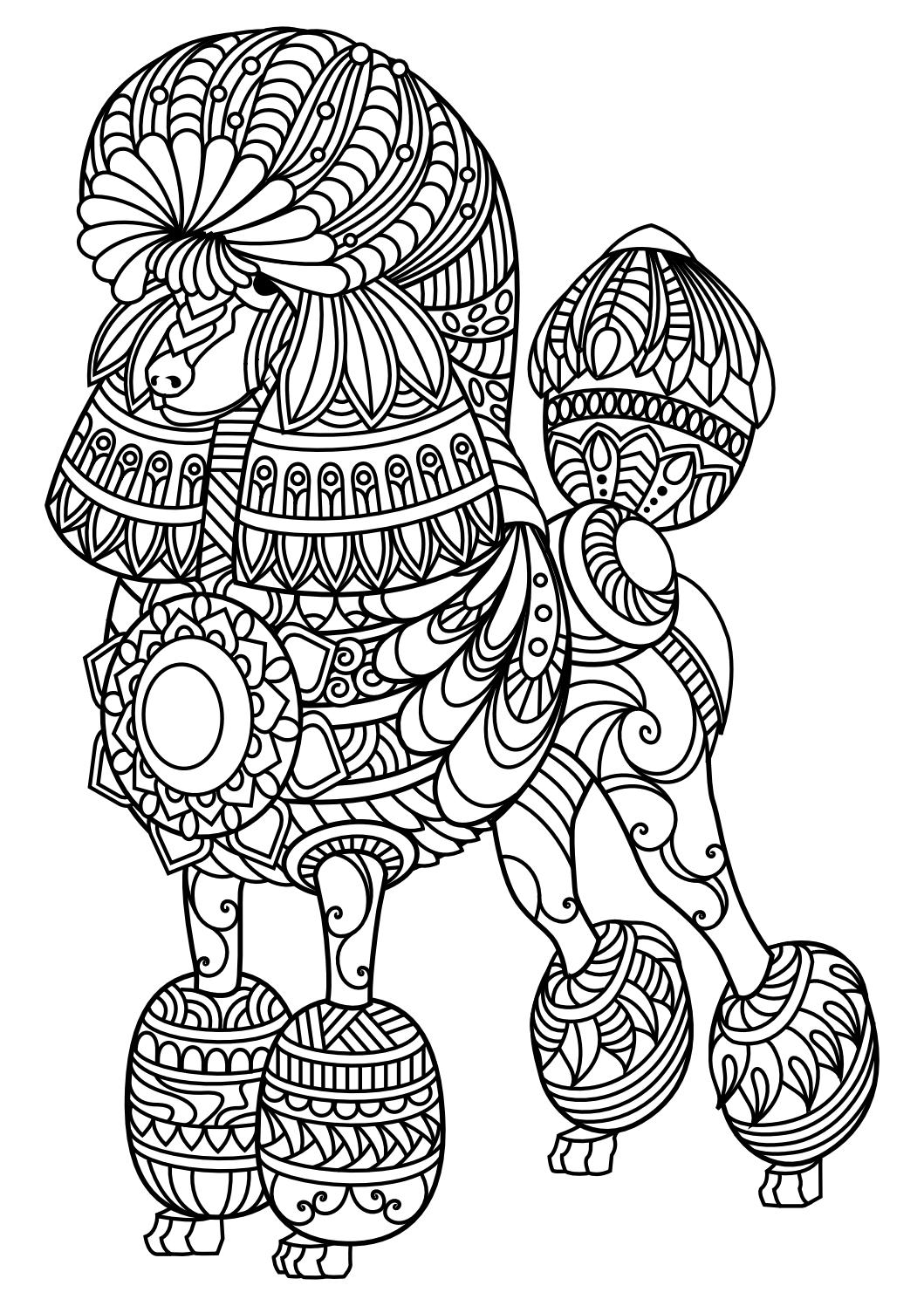 Animal Coloring Pages Pdf Adult Coloring, Coloring Books And Dog Cat 1059x1497 Animal Coloring Pages Pdf Adult Coloring, Coloring Books And Dog Cat