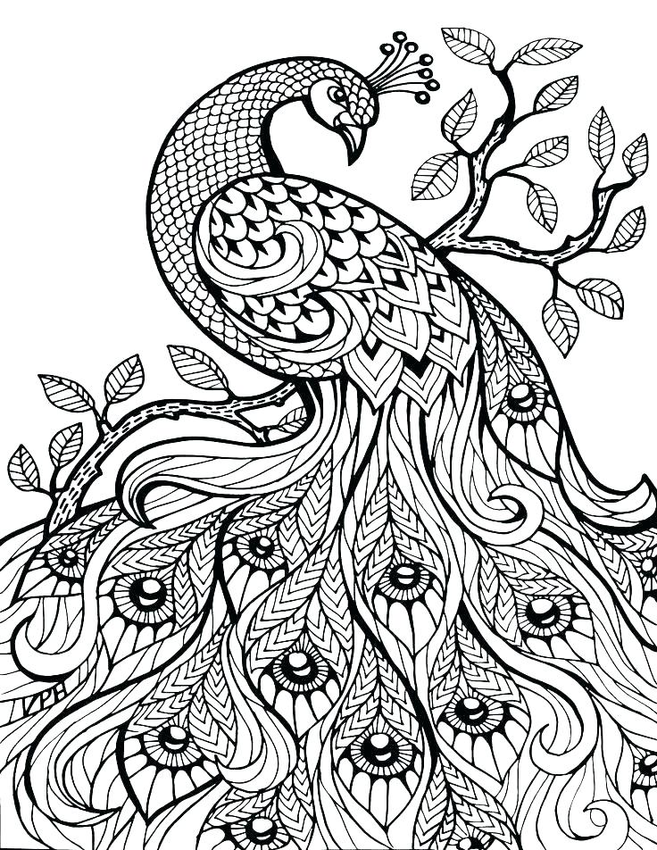 736x952 Coloring Pages For Adults Free Pdf