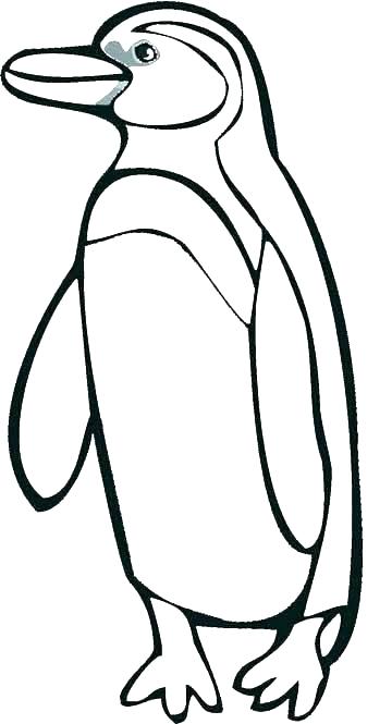 360x665 Picture Of Penguin To Color