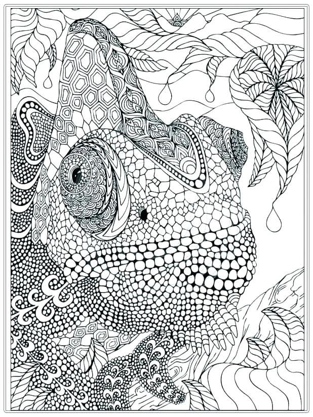 618x824 Printable Advanced Coloring Pages Fascinating Printable Advanced