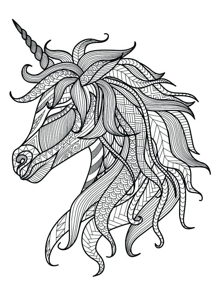 Coloring Pages Of Animals 736x971 Coloring Pages Of Animals