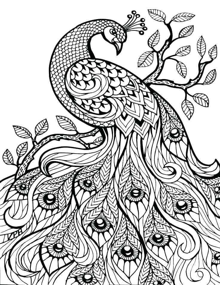736x952 Australian Animals Coloring Pages Free Printable Coloring Pages