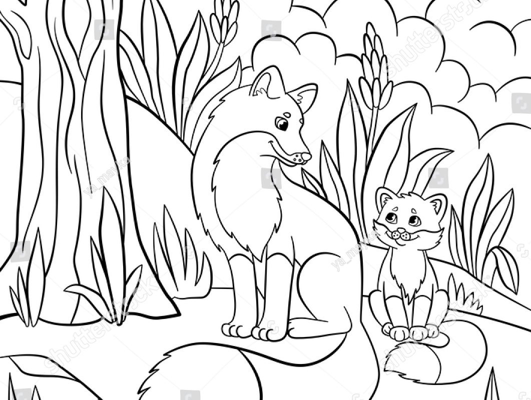 1061x800 Forest Animals Coloring Page Printable Pages Free Adult Rainforest