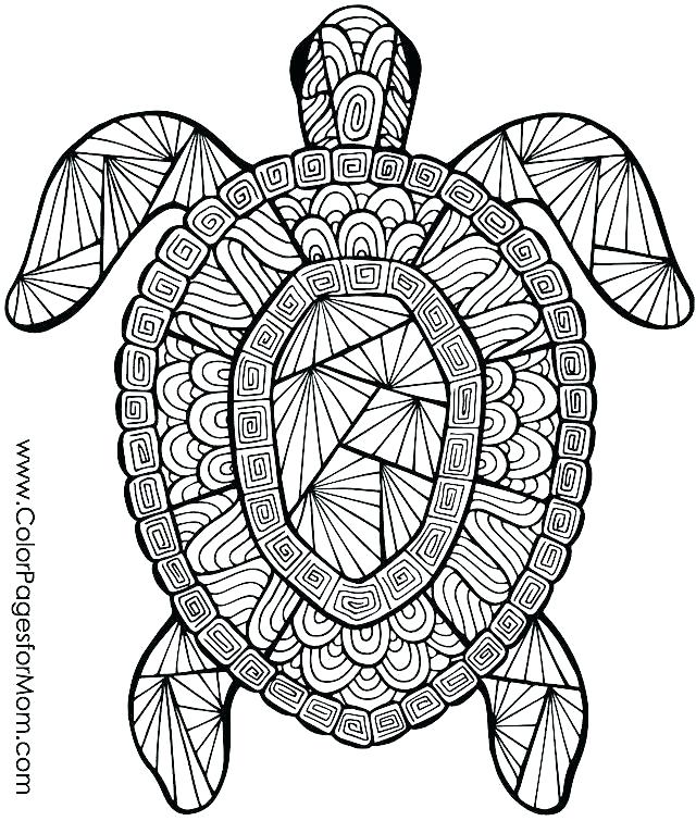 640x755 Free Printable Animal Coloring Pages Coloring Pages Animal