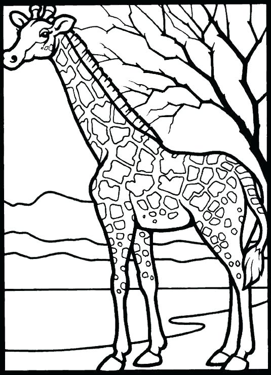 Printable Coloring Pages For Kids Color Pages Printable Coloring 535x740 Printable Coloring Pages For Kids Color Pages Printable Coloring