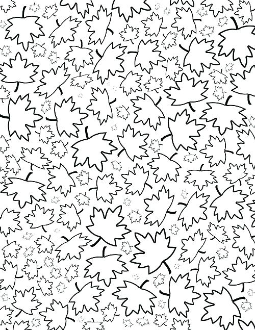 500x647 Autumn Leaf Coloring Pages Autumn Leaves Coloring Pages Autumn