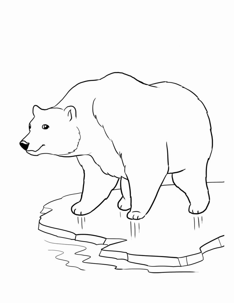 Free Printable Bear Coloring Pages