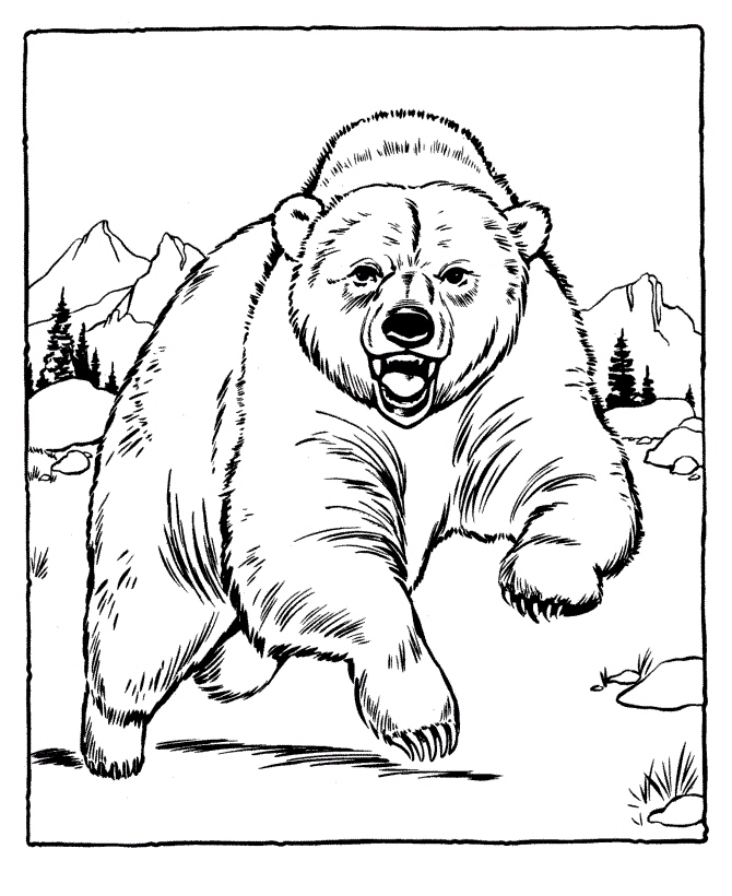670x820 Bear Coloring Page Awesome Free Printable Bear Coloring Pages