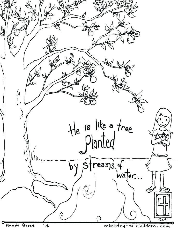Preschool Sunday School Coloring Pages Free Printable Bible 736x955 Preschool Sunday School Coloring Pages Free Printable Bible