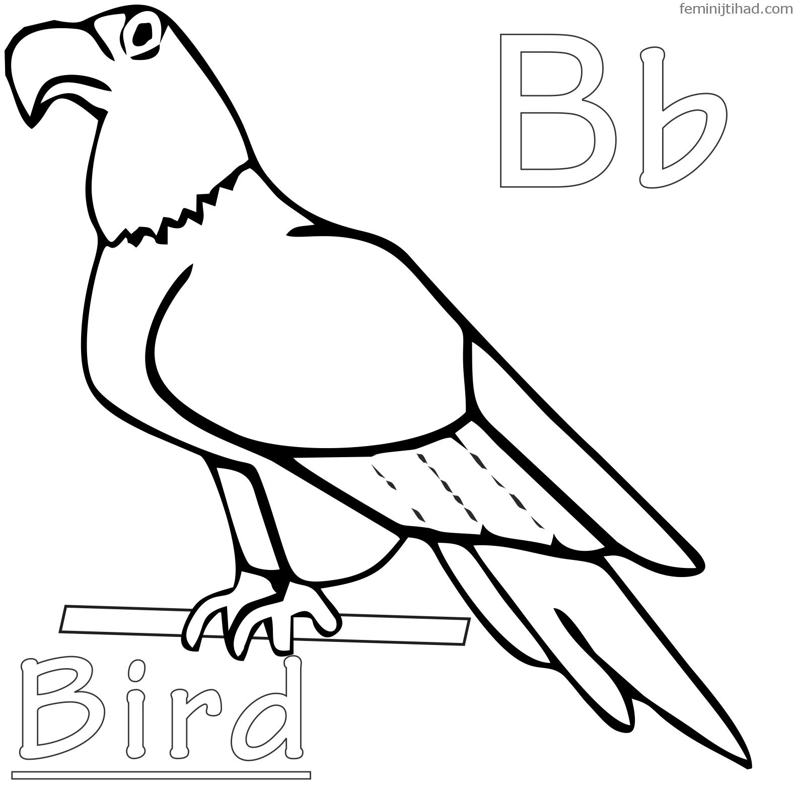 Free Printable Bird Coloring Pages