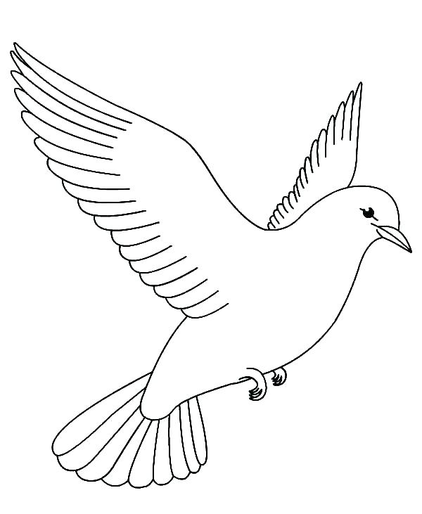 600x731 Free Printable Bird Coloring Pages Free Bird Coloring Pages Bird