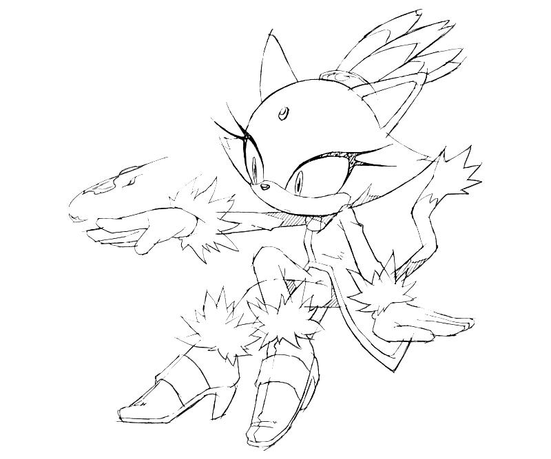 Blaze The Cat Coloring Pages The Cat Coloring Pages Colour 800x667 Blaze The Cat Coloring Pages The Cat Coloring Pages Colour