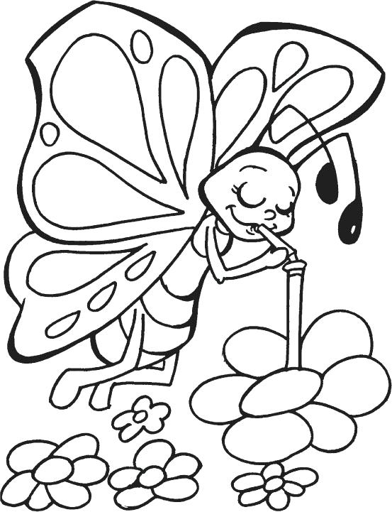 553x721 Coloring Page Of Butterfly Free Printable Butterfly Coloring Pages