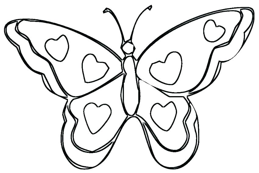850x567 Free Butterfly Coloring Pages Printable