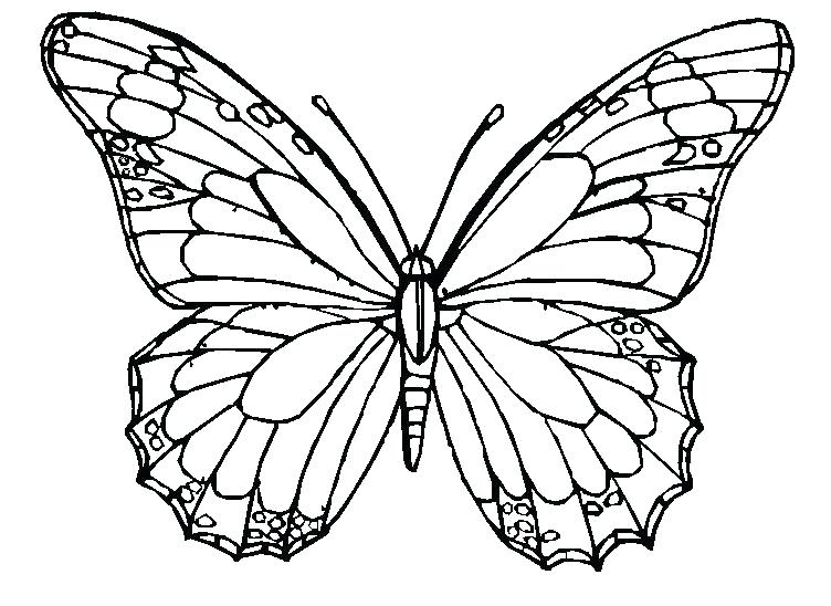 Butterfly Coloring Page Luxury Butterfly Coloring Pages 752x548 Butterfly Coloring Page Luxury Butterfly Coloring Pages