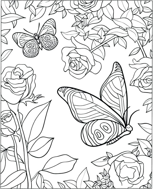 Butterfly Coloring Pages For Adults Plus 3 D Coloring Book 650x804 Butterfly Coloring Pages For Adults Plus 3 D Coloring Book