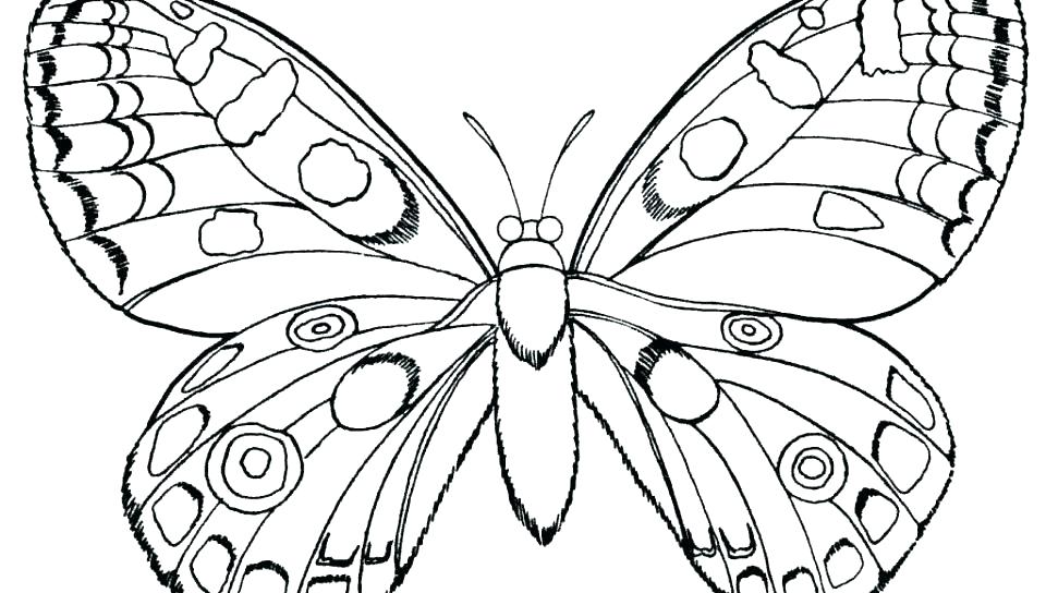 Butterfly Coloring Pages Free Printable Butterfly Coloring Pages 960x544 Butterfly Coloring Pages Free Printable Butterfly Coloring Pages