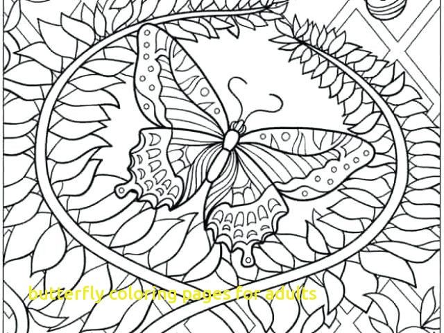 Butterfly Coloring Pages For Adults With Butterfly Coloring Sheets 640x480 Butterfly Coloring Pages For Adults With Butterfly Coloring Sheets