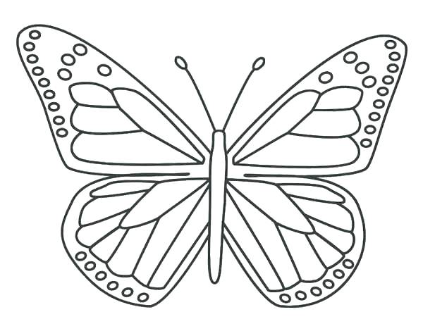 Coloring Pages Butterfly Free Printable Coloring Pages For Adults 600x470 Coloring Pages Butterfly Free Printable Coloring Pages For Adults
