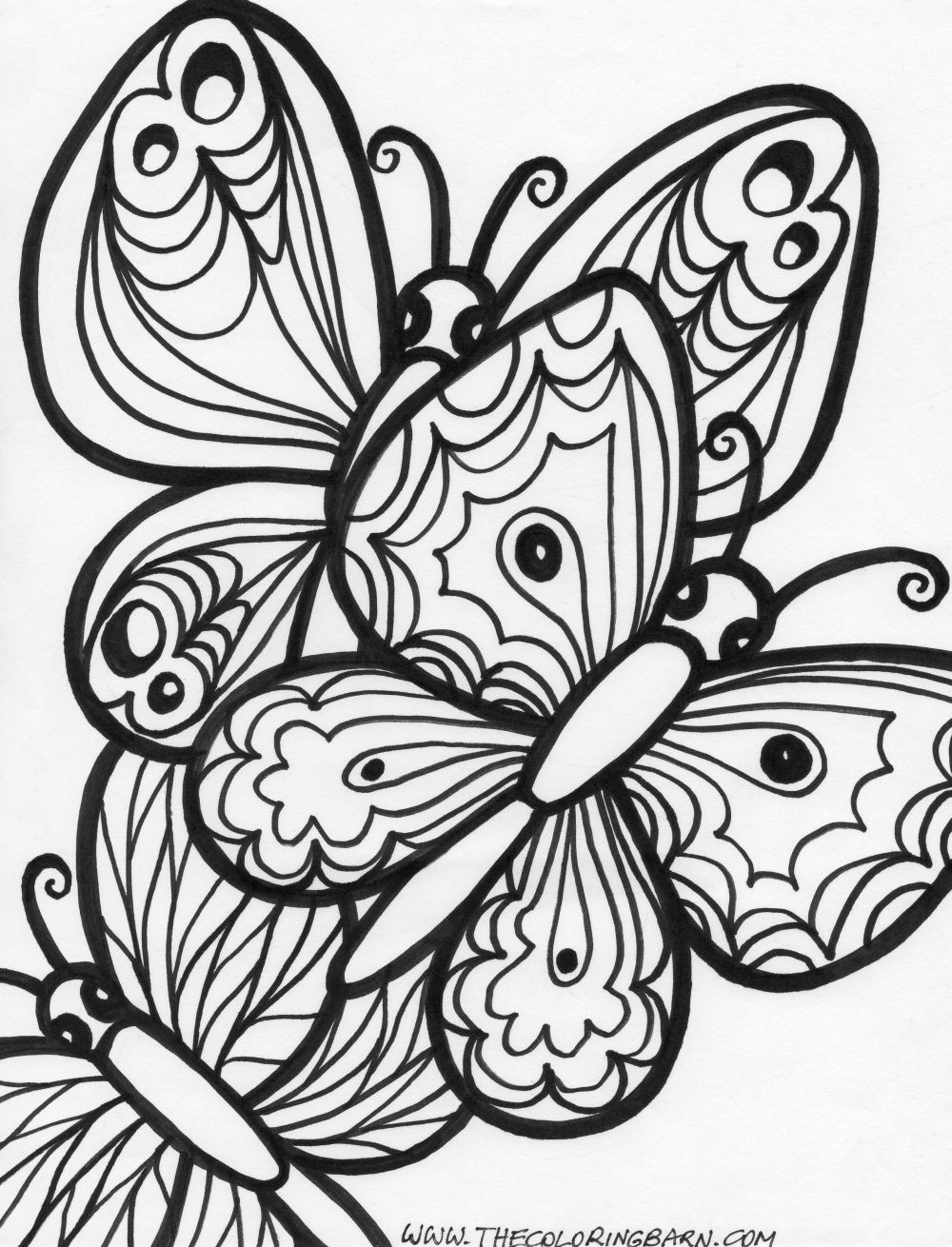 In Free Printable Butterfly Coloring Pages For Adults 1000x1310 In Free Printable Butterfly Coloring Pages For Adults