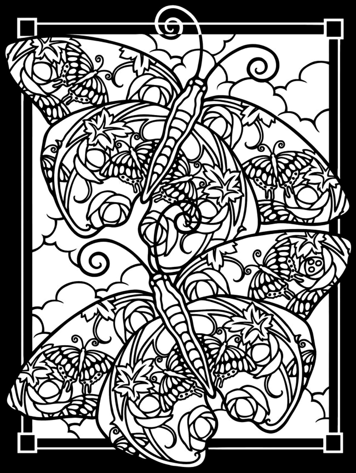 Two Butterflies Black Background 1200x1593 Two Butterflies Black Background