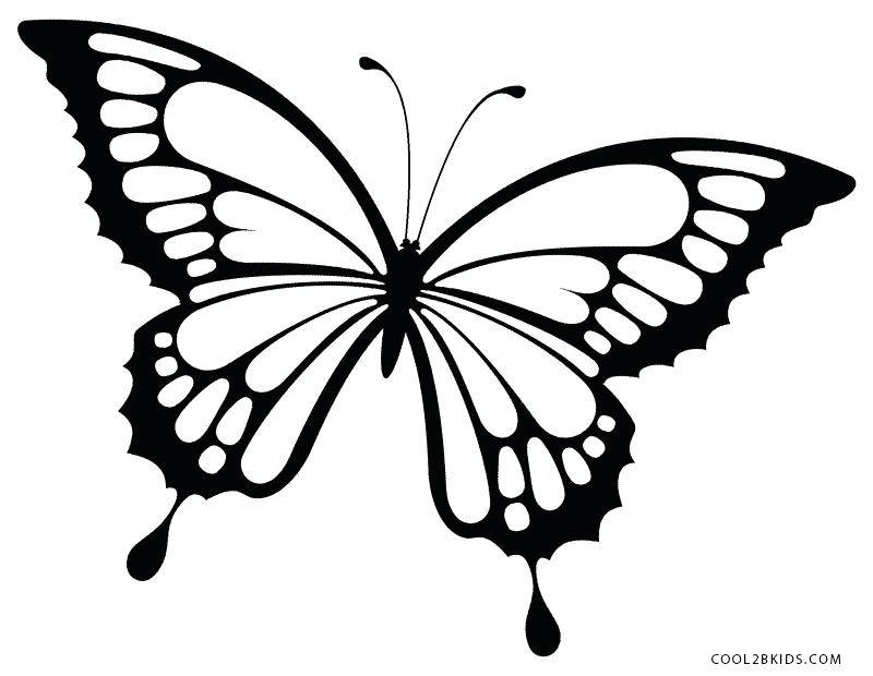 800x620 Butterfly Coloring Pages Printable Butterfly Coloring Pages