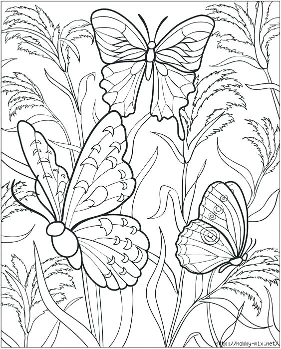 563x699 Coloring Pages Butterflies Excellent Free Butterfly Coloring Pages